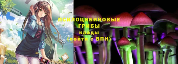 прущая мука Горно-Алтайск
