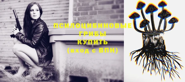 прущая мука Горно-Алтайск